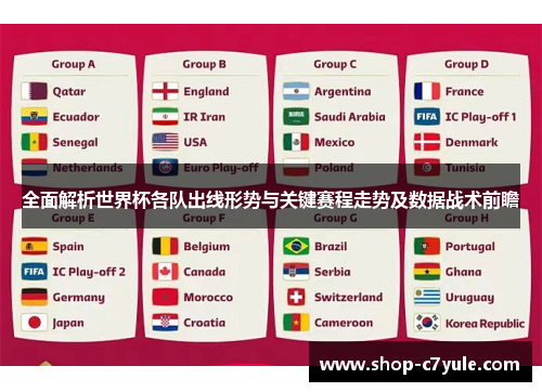全面解析世界杯各队出线形势与关键赛程走势及数据战术前瞻