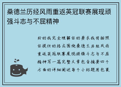 桑德兰历经风雨重返英冠联赛展现顽强斗志与不屈精神